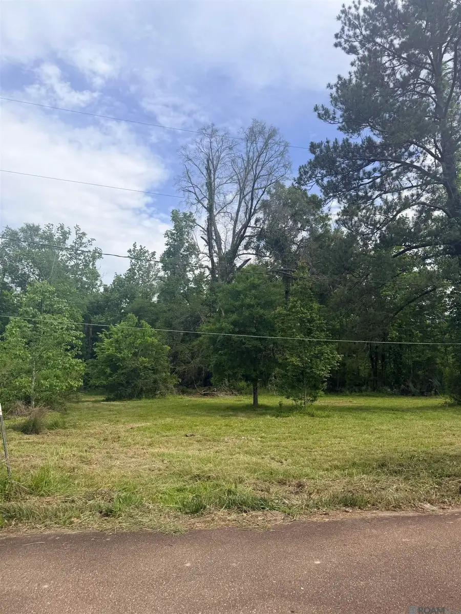 14390 Howard Thomas Road, Walker, LA 70785 - #2