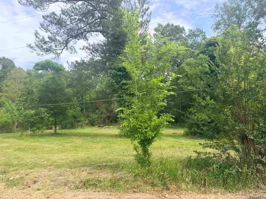 14390 Howard Thomas Road, Walker, LA 70785 - #3