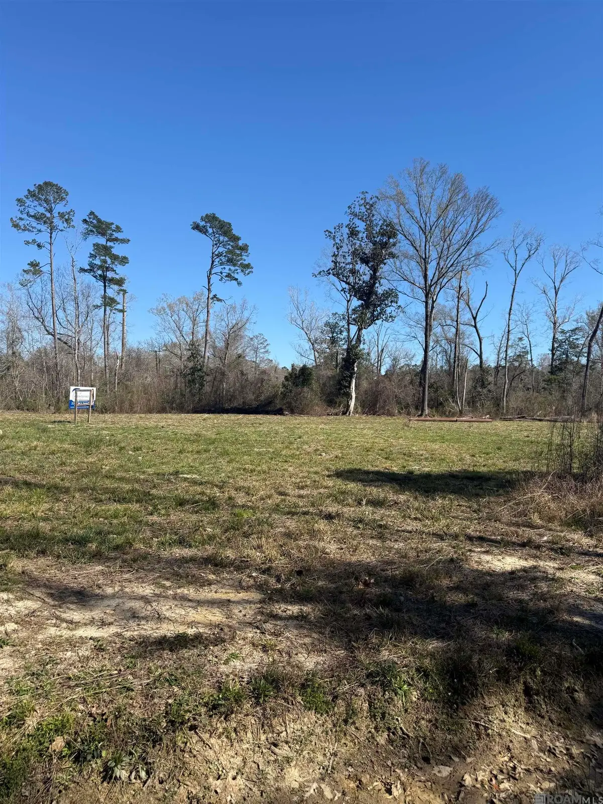 Lot 6 Music Ln, Springfield, LA 70462 - #1