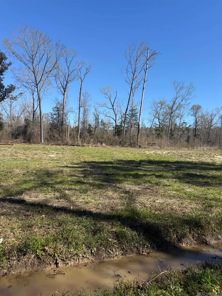 Lot 6 Music Ln, Springfield, LA 70462 - #2