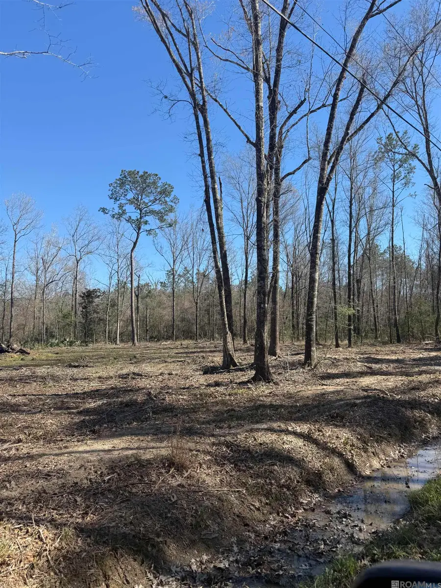 Lot 6 Music Ln, Springfield, LA 70462 - #3