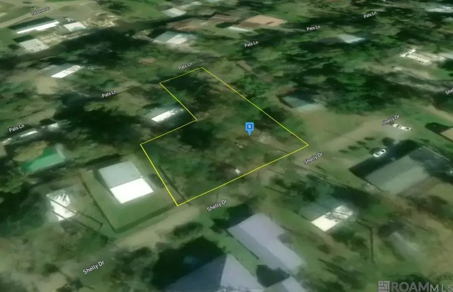 31935 Shelly Dr, Springfield, LA 70462 - #3