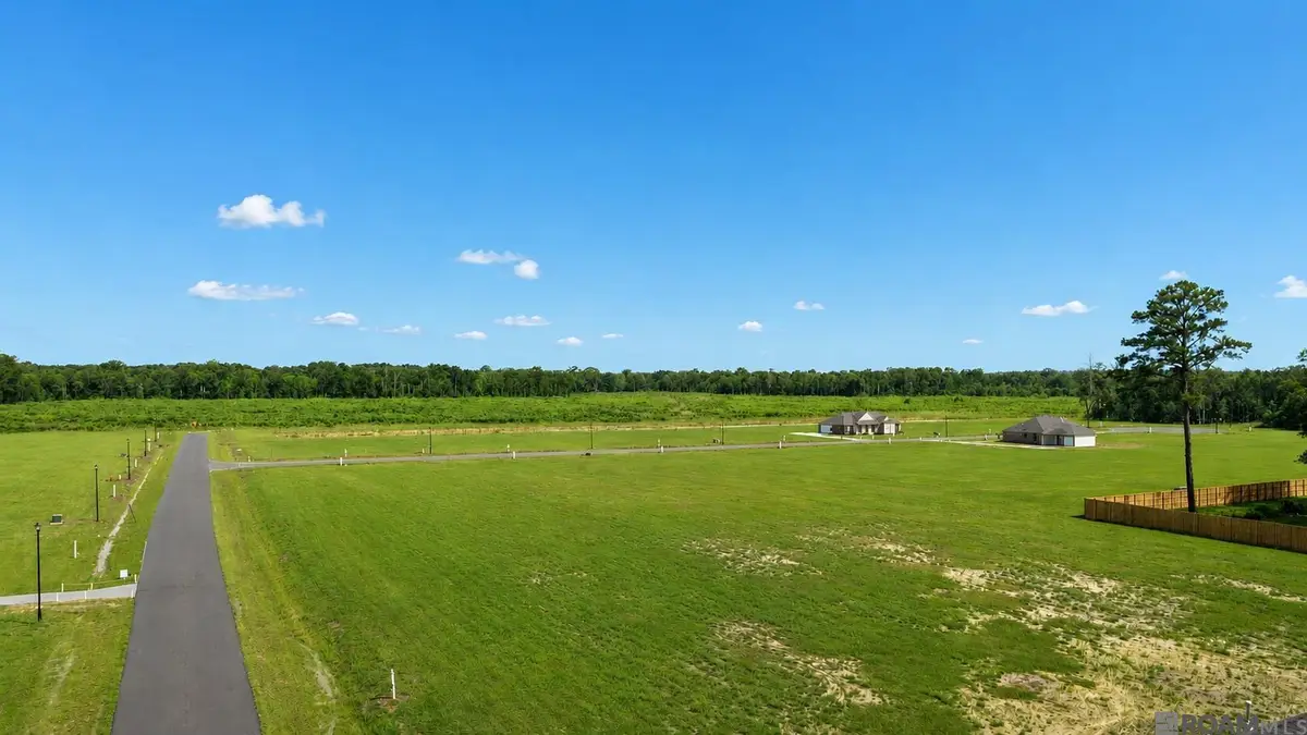 13524 Eagles Park Drive, Denham Springs, LA 70726 - #1