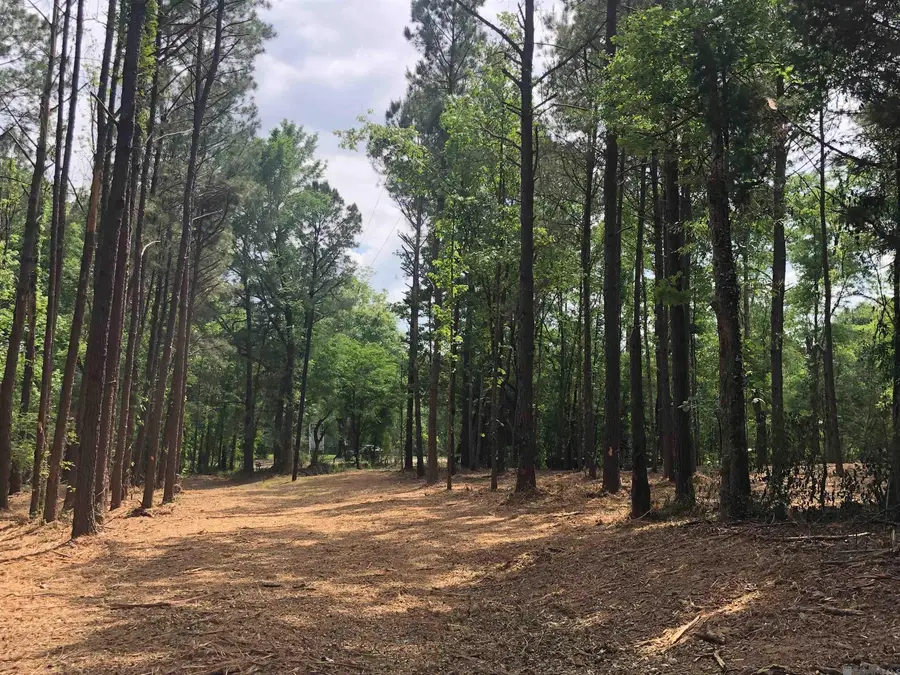 TBD Hatfield Ln, Jackson, LA 70748 - #3