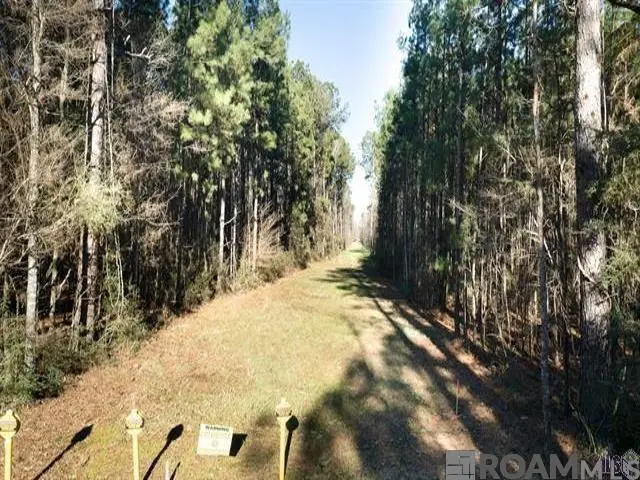 tract V-4 Jim Price Rd, Greenwell Springs, LA 70739 - #1