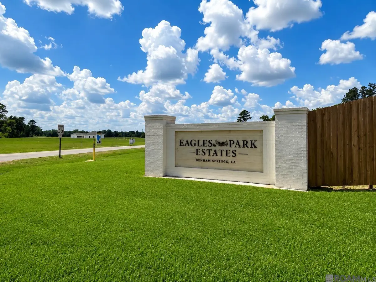 24132 Red Tail Lane, Denham Springs, LA 70726 - #1