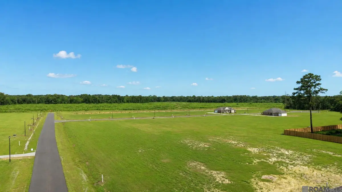 13509 Eagles Park Drive, Denham Springs, LA 70726 - #1