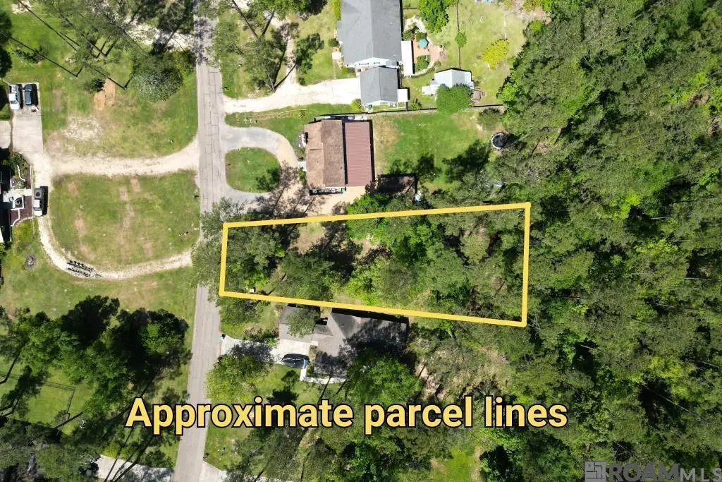 31531 River Pines Dr, Springfield, LA 70462 - #1