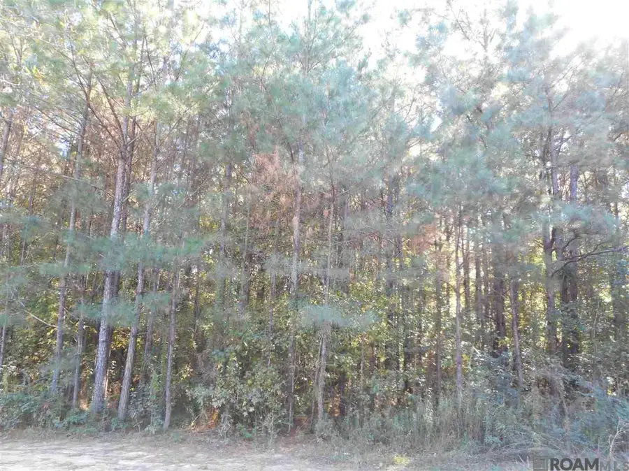 7430-B Lane Rd, Ethel, LA 70730 - #3