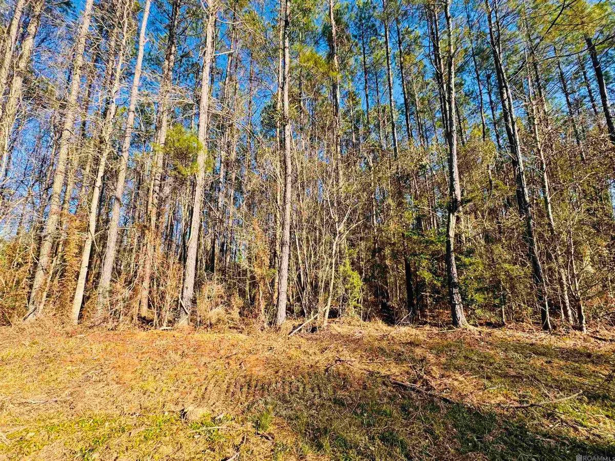 Lot 2 La Hwy 449, Pine Grove, LA 70453 - #1