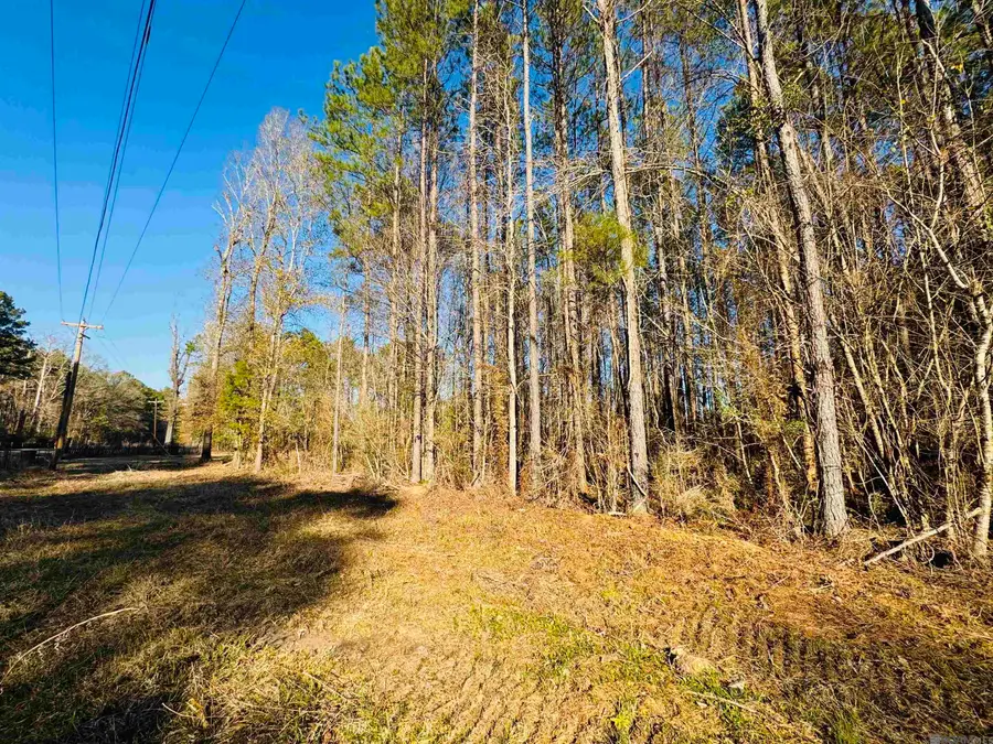 Lot 2 La Hwy 449, Pine Grove, LA 70453 - #2