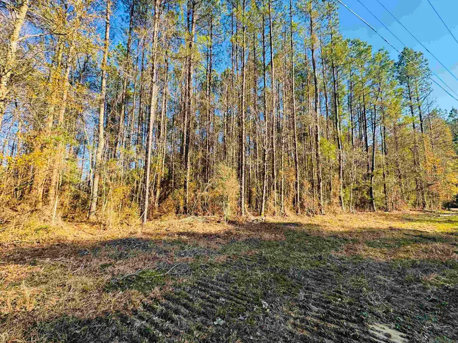 Lot 2 La Hwy 449, Pine Grove, LA 70453 - #3