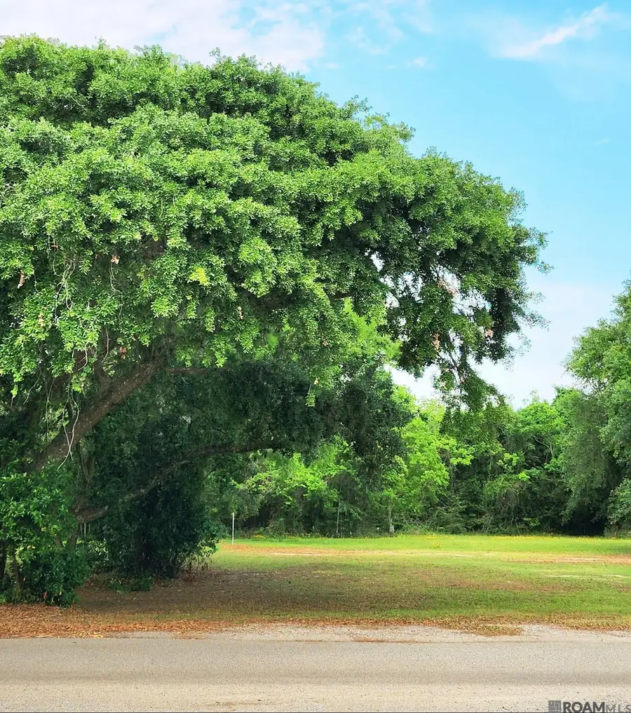 LOT A Leovy Avenue, Pass Christian, MS 39571 - #2