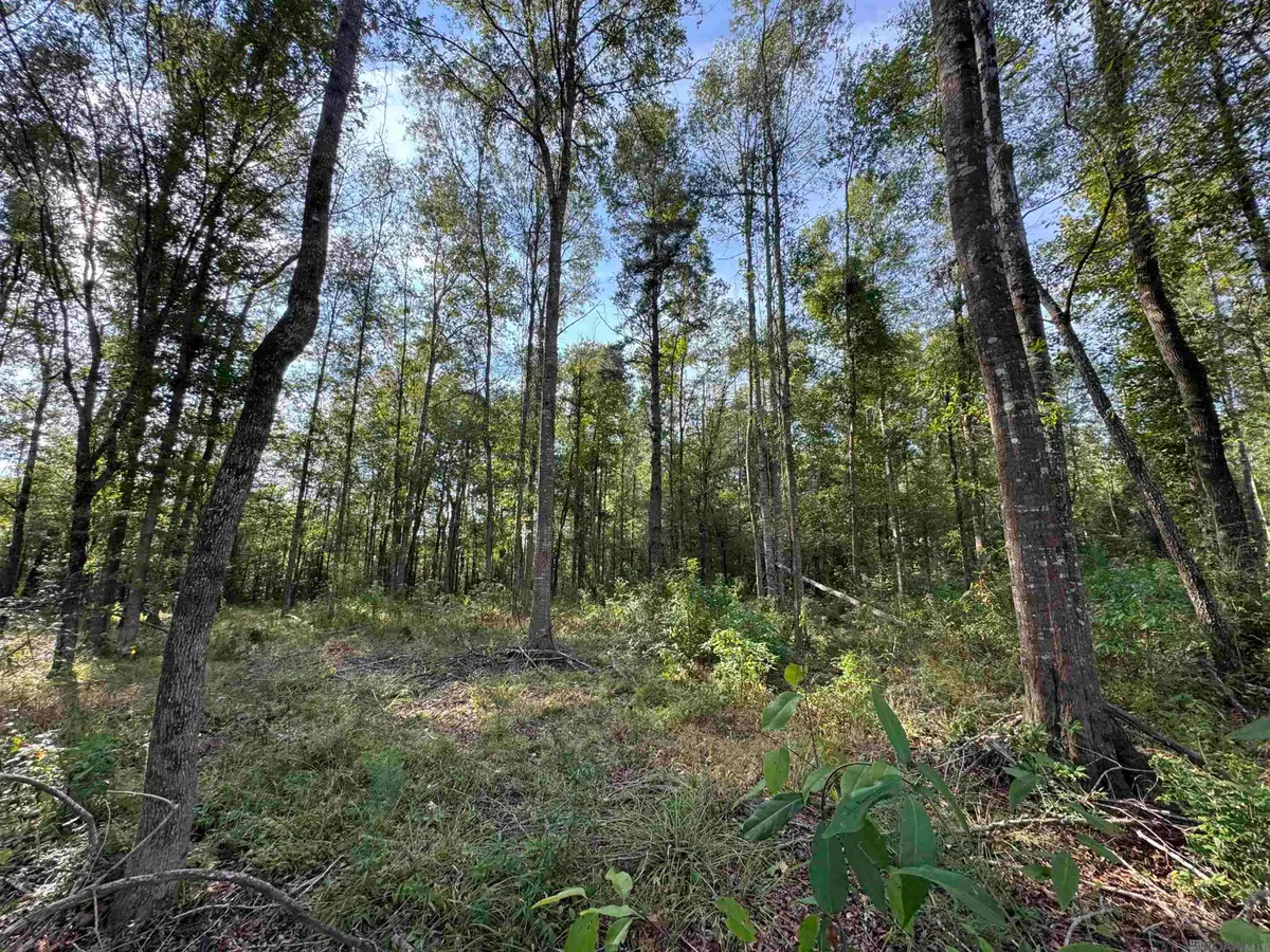 SF-14 La Hwy 16, Denham Springs, LA 70706 - #1