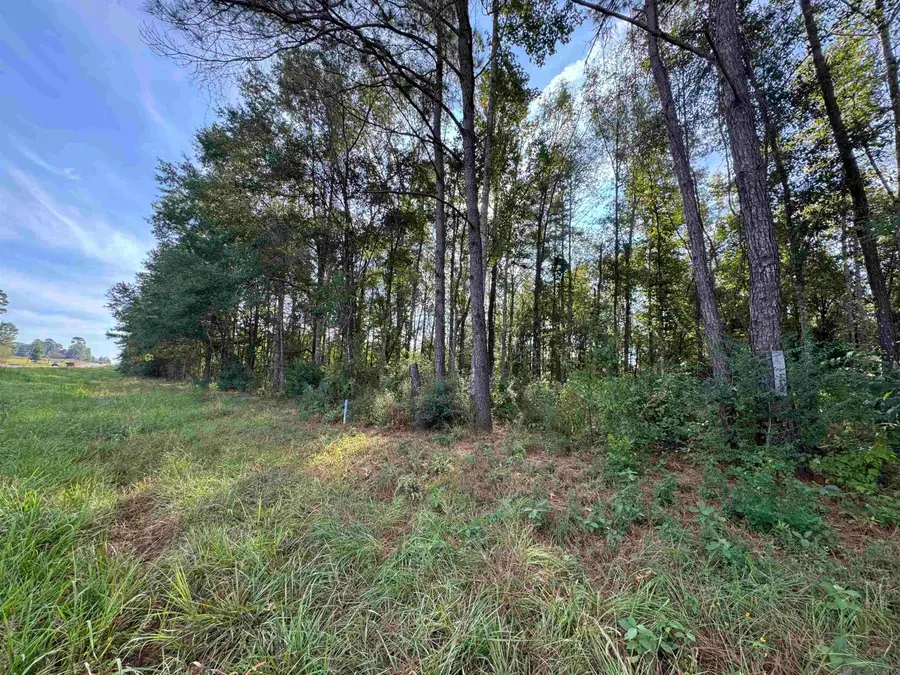 SF-14 La Hwy 16, Denham Springs, LA 70706 - #2