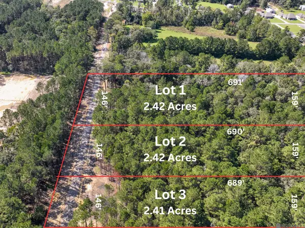 34754 Clinton Allen Rd, Denham Springs, LA 70706