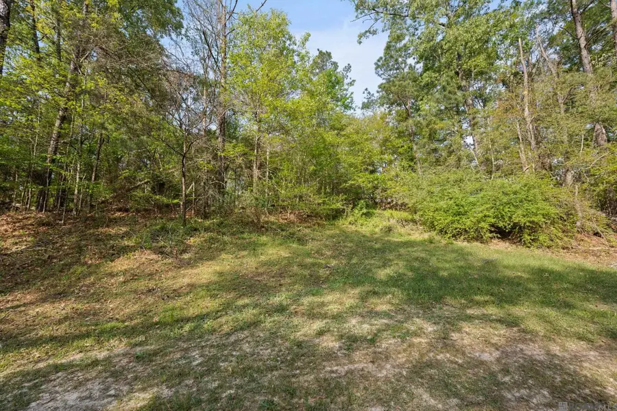 14320 Sunrise Way, Saint Francisville, LA 70775 - #3