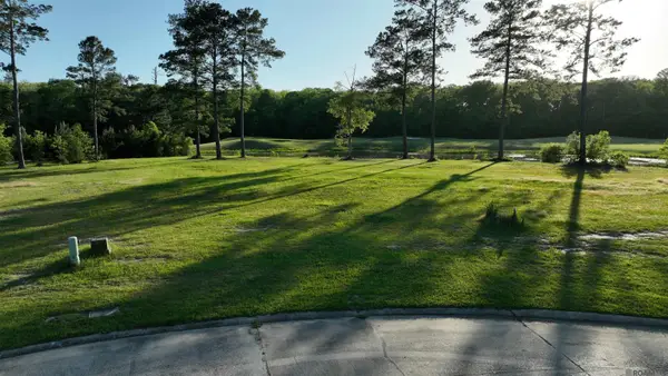 23282 Noble Oak Dr, Springfield, LA 70462
