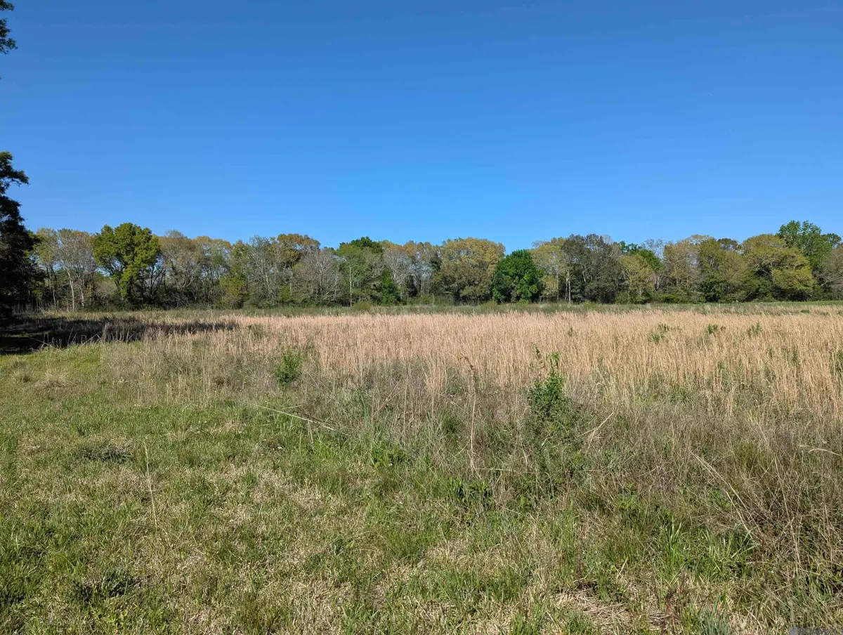 1929 E Milton Rd, Youngsville, LA 70592 - #1