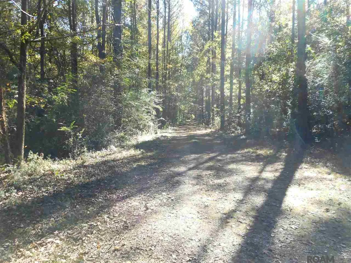 7430-A Lane Rd, Ethel, LA 70730 - #1