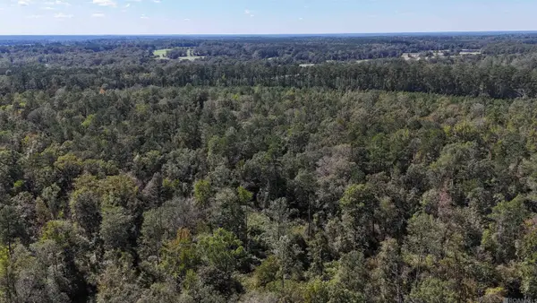SMIT-1-B-3-A La Hwy 63, Clinton, LA 70722