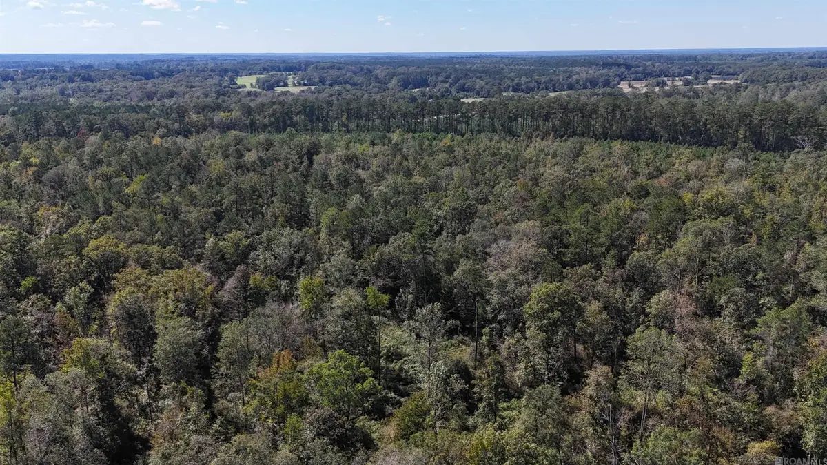 SMIT-1-B-1 La Hwy 63, Clinton, LA 70722 - #1