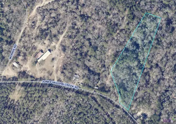 9754 Jones Vaughn Creek Rd, St Francisville, LA 70775