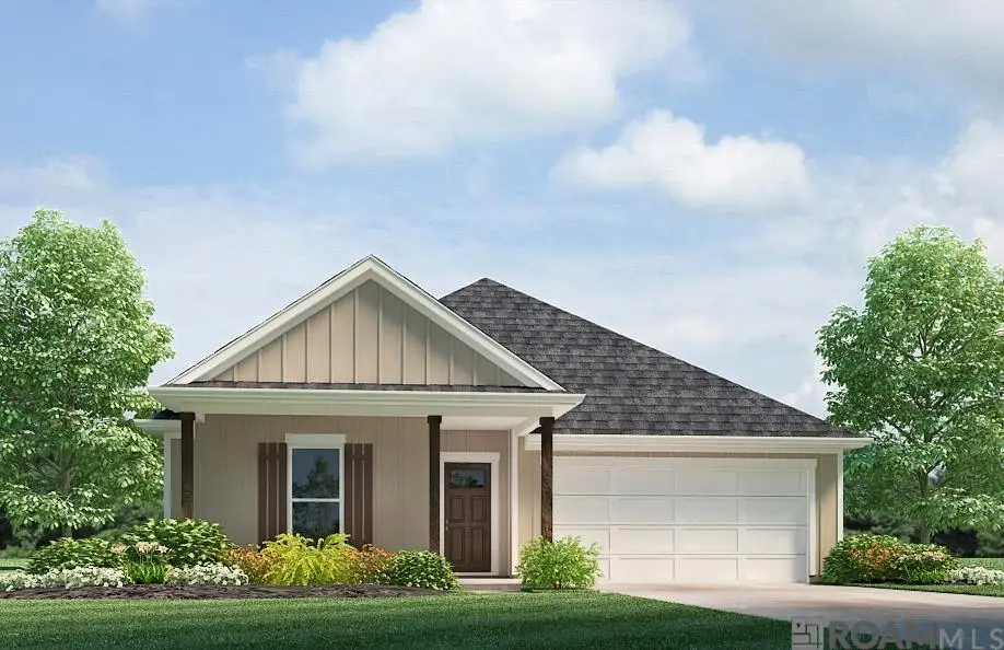 24758 Berry Ridge Lane, Springfield, LA 70462 - #1