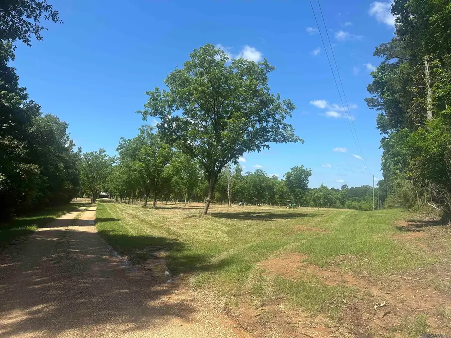 2725 Holly Ridge Rd, Jackson, LA 70777 - #2