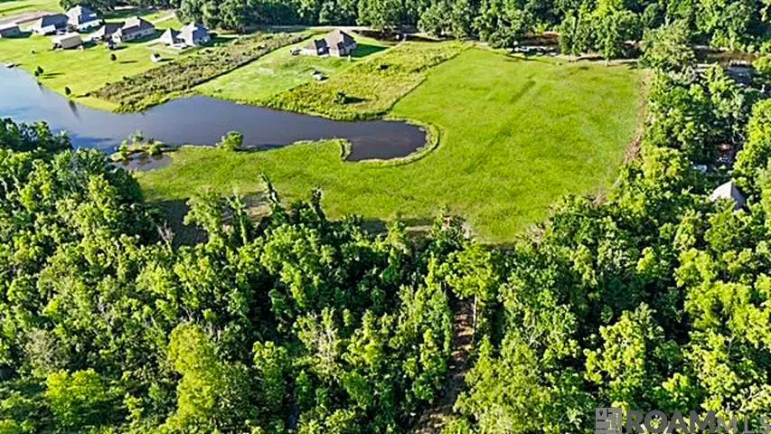 Lot 1-A-1 New River Rd, Saint Amant, LA 70774 - #1