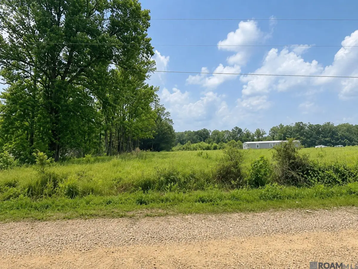 1101 Leonard Chapel Rd, Amite, LA 70422 - #1