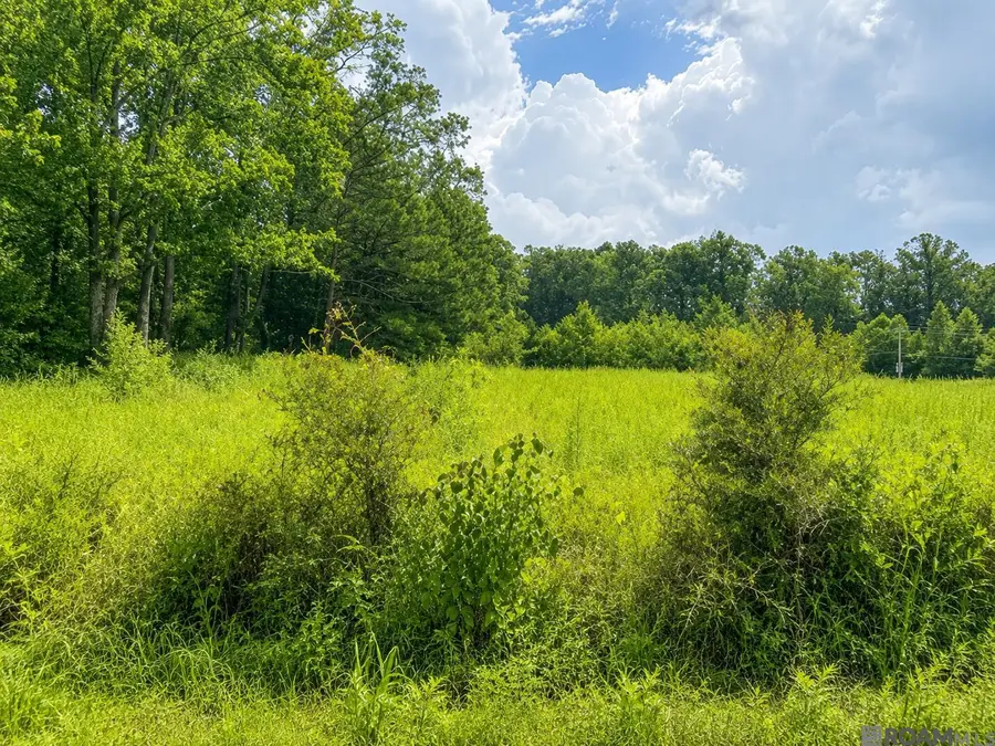 1101 Leonard Chapel Rd, Amite, LA 70422 - #3