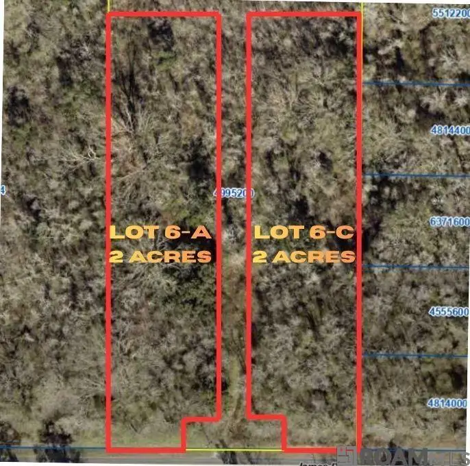 6-A James Dr, Prairieville, LA 70769 - #2