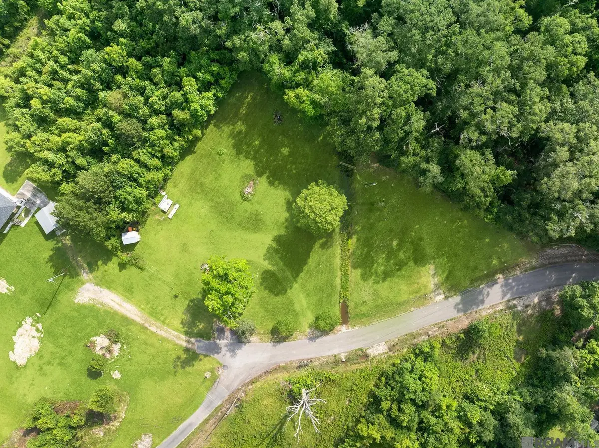 12226 and 12246 Peter Bourgeois Rd, Saint Amant, LA 70774 - #1