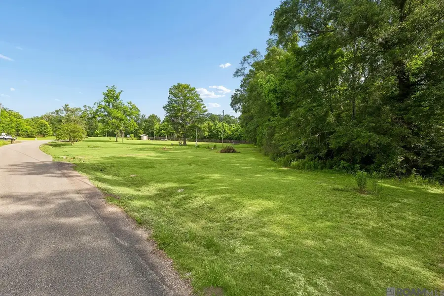 12226 and 12246 Peter Bourgeois Rd, Saint Amant, LA 70774 - #3