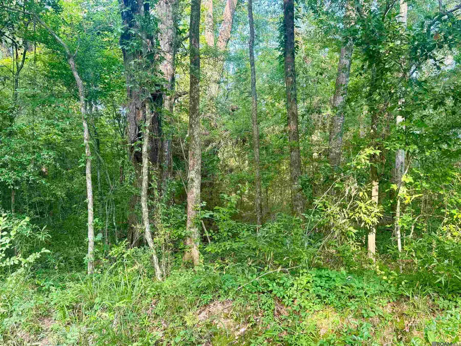 Lot F Hazeloak Dr, Baker, LA 70714 - #3