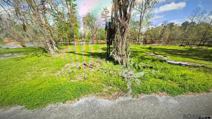 18516 Manchac Point Rd, Prairieville, LA 70769 - #2