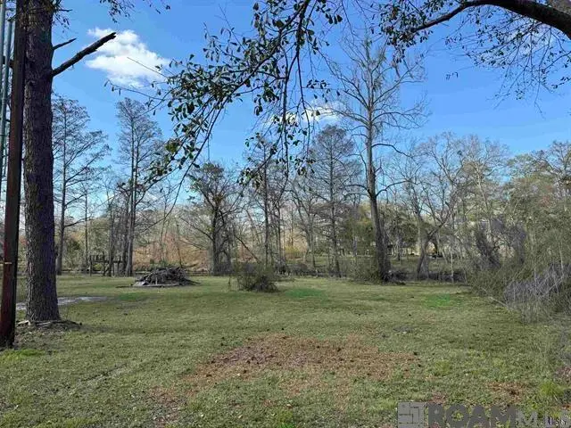 18516 Manchac Point Rd, Prairieville, LA 70769 - #3
