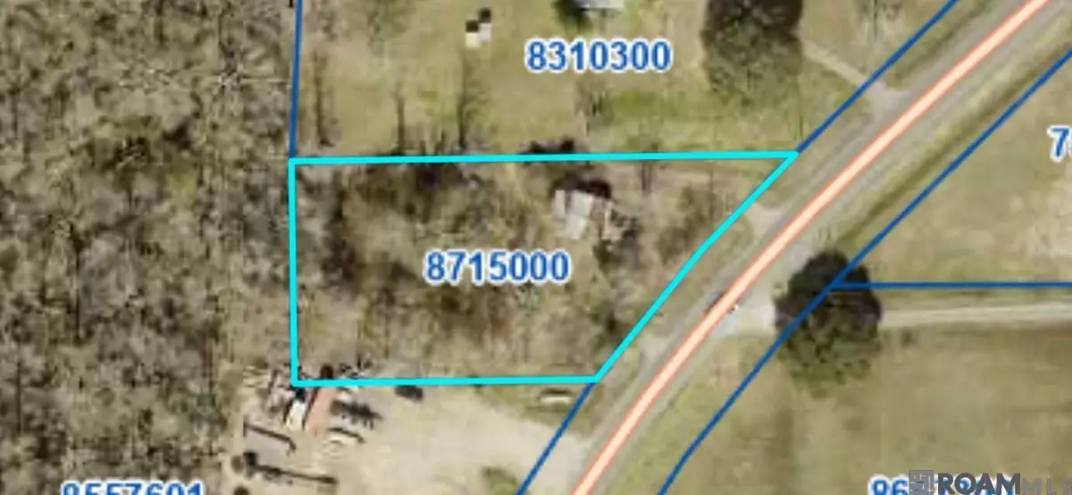 10347 La Hwy 431, Saint Amant, LA 70774 - #1