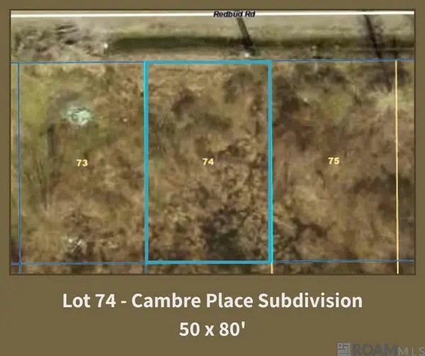39233 Redbud Rd, Gonzales, LA 70737