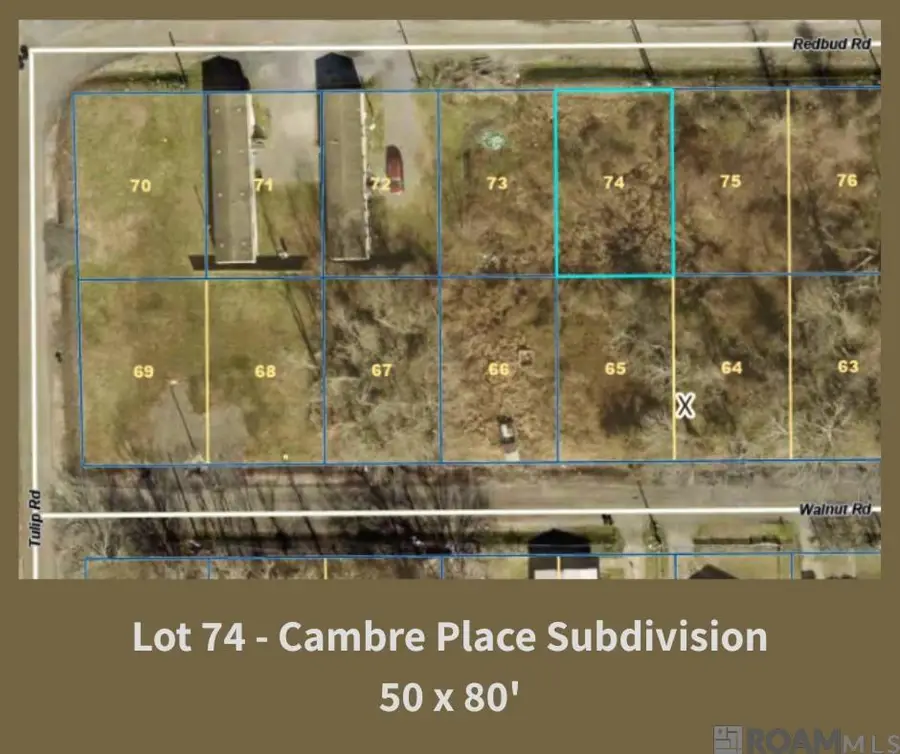 39233 Redbud Rd, Gonzales, LA 70737 - #2