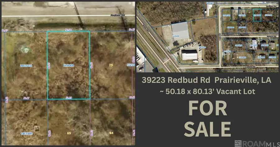 39233 Redbud Rd, Gonzales, LA 70737 - #3