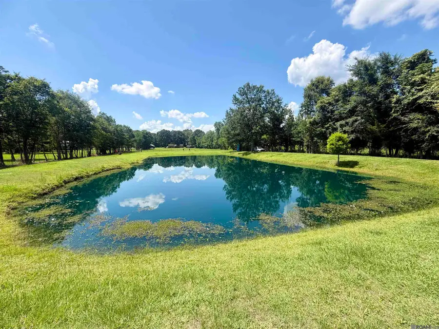24632 Brian Rd, Zachary, LA 70791 - #2