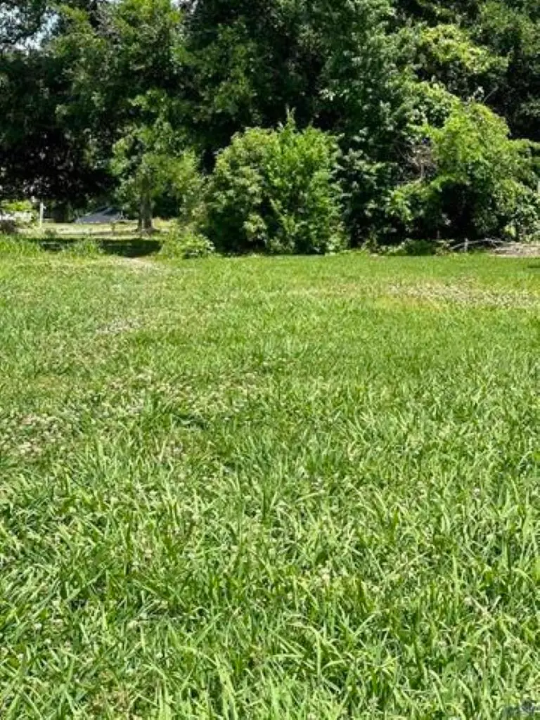 292 Grand Caillou Road, Houma, LA 70363 - #2