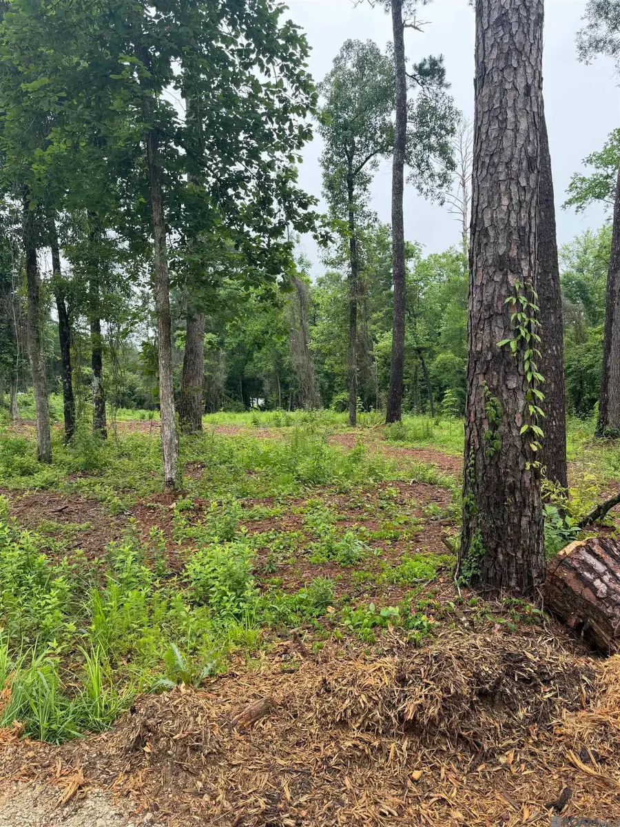 TBD La Hwy 16, Denham Springs, LA 70726 - #3