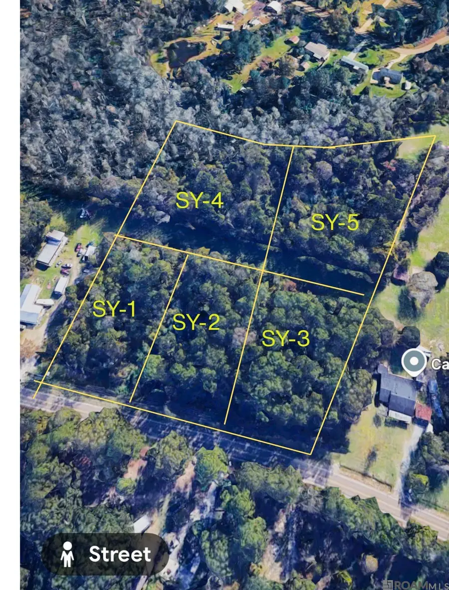TBD La Hwy 16, Denham Springs, LA 70726 - #2