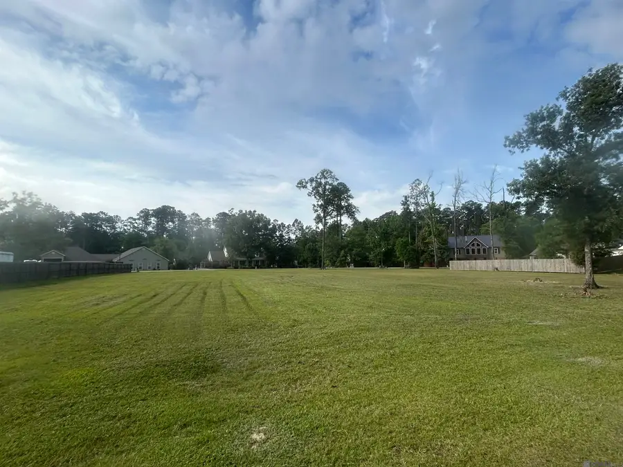 River Pines Dr, Springfield, LA 70462 - #2