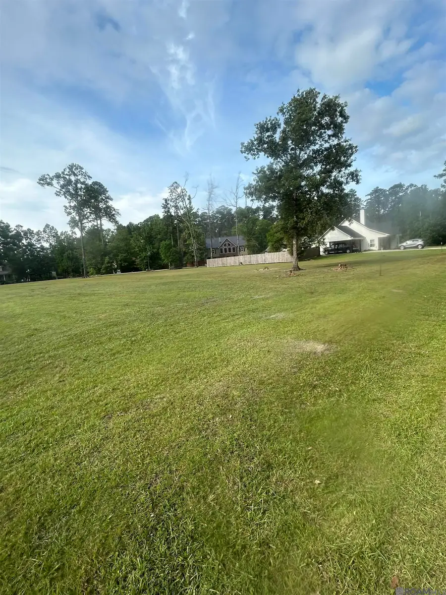 River Pines Dr, Springfield, LA 70462 - #3