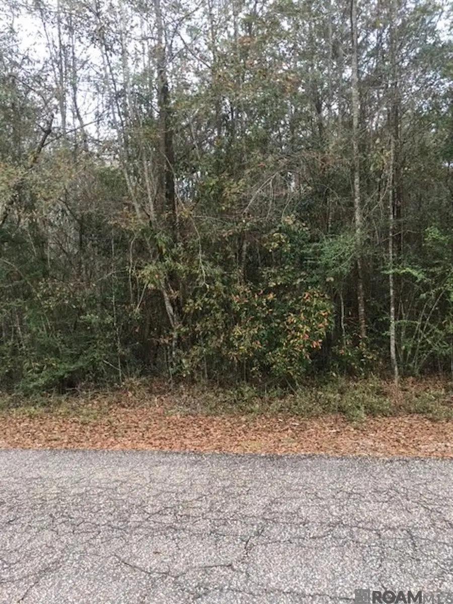 TBD Eunice St, Bogalusa, LA 70427 - #1