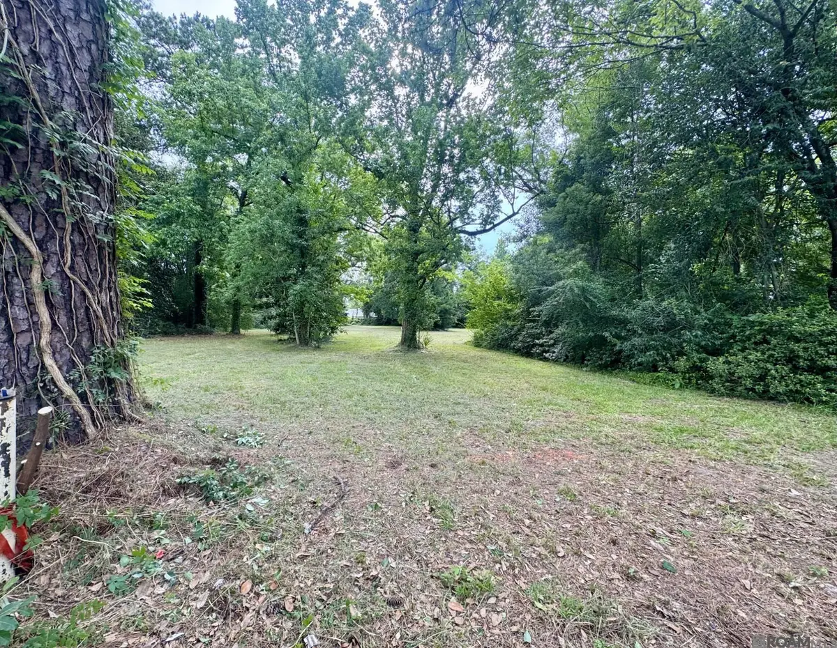 Lot B N Range Ave, Denham Springs, LA 70726 - #1